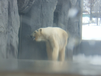 �z�b�L���N�O�}