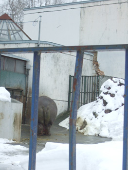 �L�����ƃJ�o