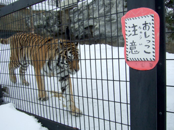 �A���[���g��