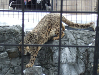 ���L�q���E