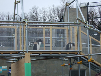 ����n��y���M��