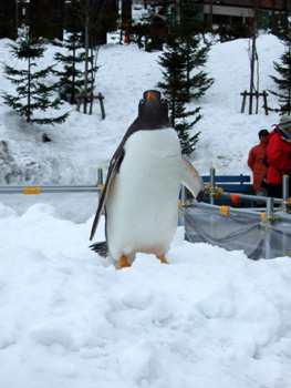 �W�F���c�[�y���M��