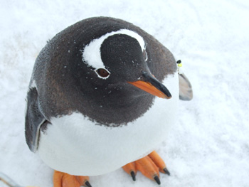 �W�F���c�[�y���M��