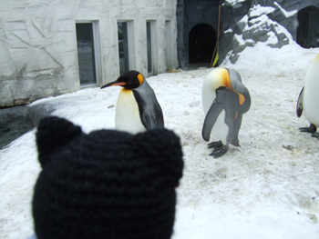 �L���O�y���M��