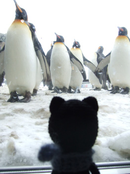 �L���O�y���M��