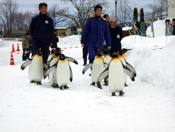 �L���O�y���M��