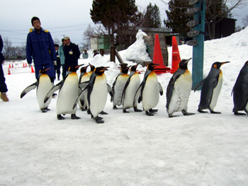 �L���O�y���M��