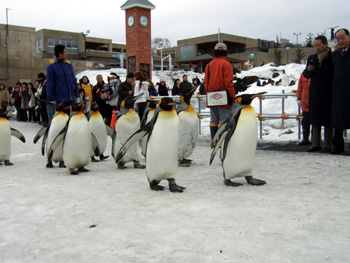 �L���O�y���M��