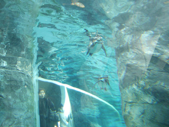 ��ԃy���M��