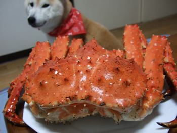 �J�j����