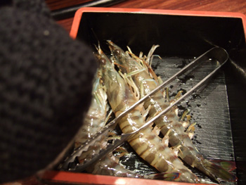 �G�r�����