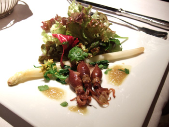 �e�B�T�l���[�A