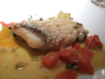 �e�B�T�l���[�A