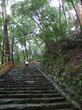 �ɐ��_�{�@�O�{