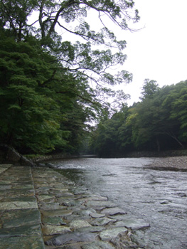 �ɐ��_�{�@���{