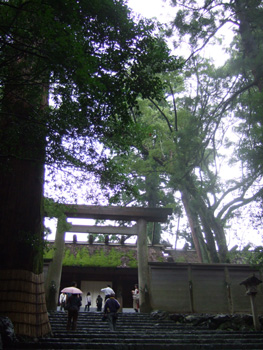 �ɐ��_�{�@���{