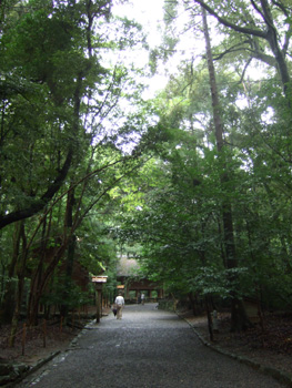 �ɐ��_�{�@���{