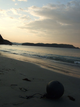 �^���\�u��