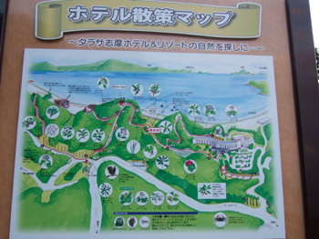 �^���\�u��