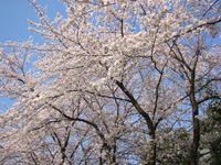 �����e�̍�����