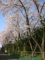 �����e�̍�����