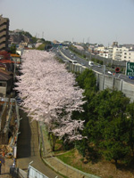 �����e�̍�����