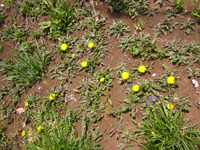 ����ۂۂ����ς�