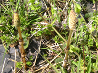 �������