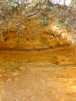 �e�`�R�̒n�w