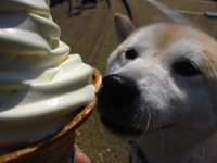 �A�C�X�ƃ|���`