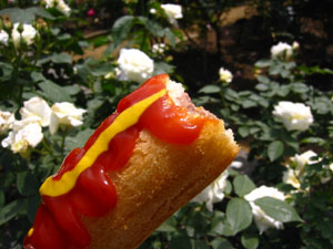 �A�����J���h�b�N