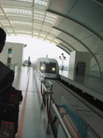 ���j�A�̊�