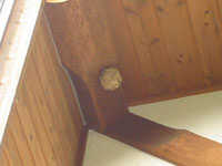 �X�Y���o�`�̑�