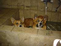 �����R�p����