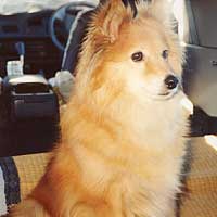 �₫�����Ă��̃R���B�Ԃ̊O�̕��������ƌ��߂�B