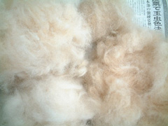 �F��������Ă���|���`��