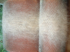 �J�[�f�B���O