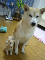 ��l������āA�n�C�|�[�Y