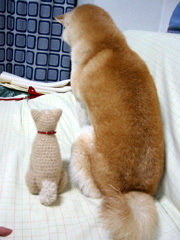 ��p�͂�������ł��B