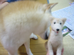 �C�ɂȂ�C�ɂȂ饥�