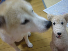 �C�ɂȂ肷���ĥ���u�`��