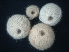 �ю��ʂɂȂ�܂���