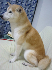 �|���`�@��