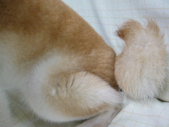 �|���`�@������