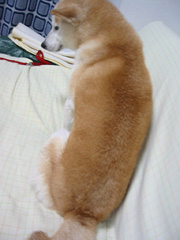 �|���`�@���p