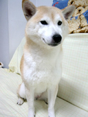 �|���`�@����